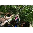 maiandacht_2009_0042.JPG